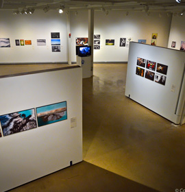 The exhibition is on display in Drexel's Leonard Pearlstein Gallery. Photo credit: Conrad Louis-Charles.